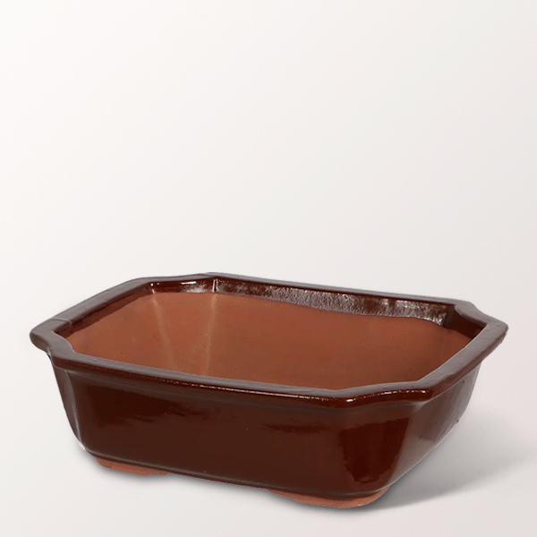 Bonsai-Schale rechteckig, Größe L