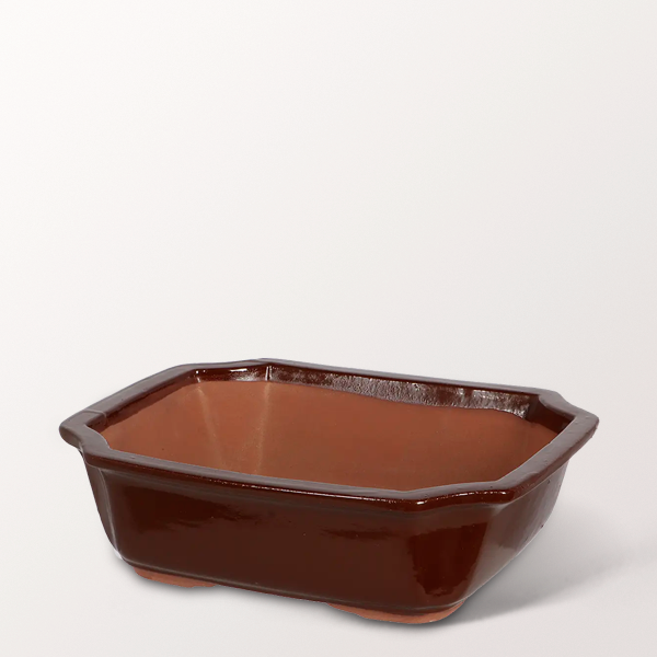 Bonsai-Schale rechteckig, Größe M